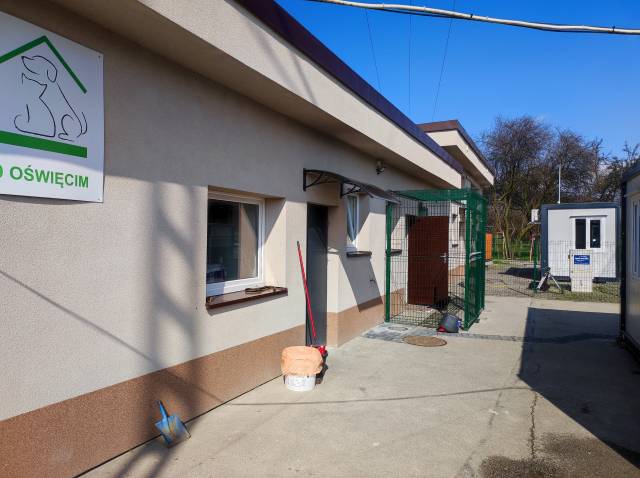 Oświęcim. Wojewoda Małopolski: zwierzęta w oświęcimskim schronisku w pełni bezpieczne